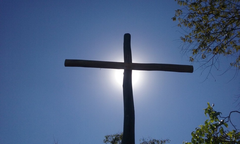DEVOCIONAL DIA 19.11